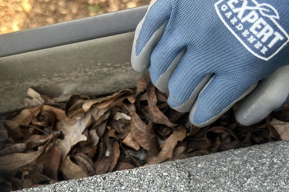 Snoqualmie Gutter Cleaning