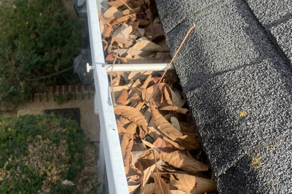 Snoqualmie Gutter Cleaning