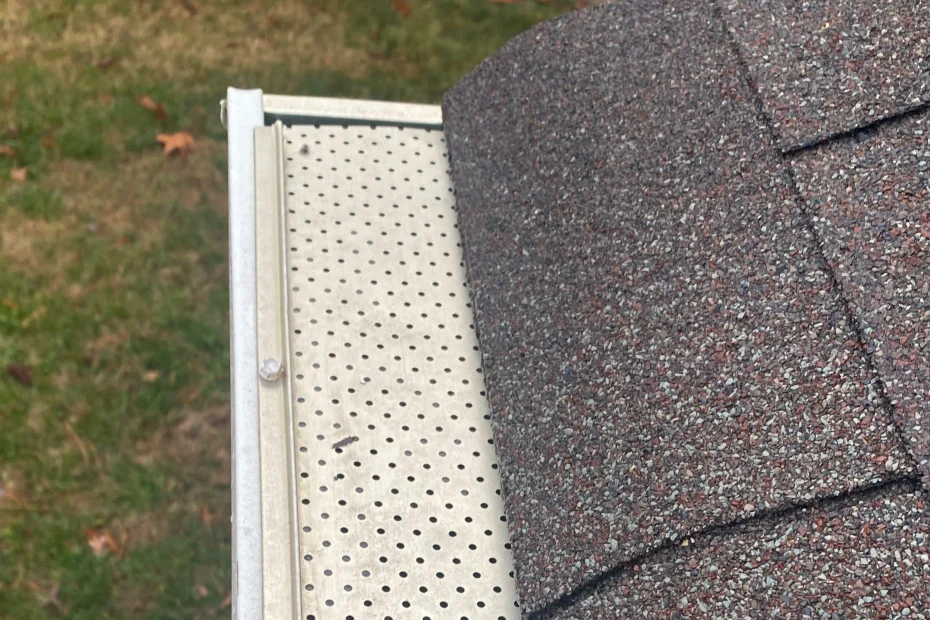 Snoqualmie Gutter Cleaning